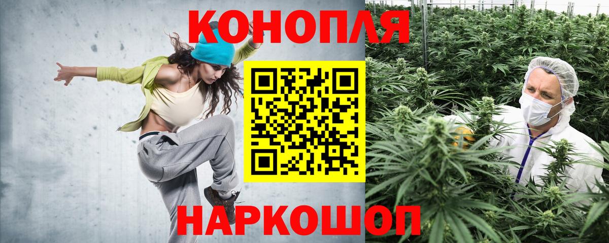 Бошки марихуана VHQ Новороссийск